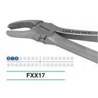 Adult Extraction Forcep, FXX17